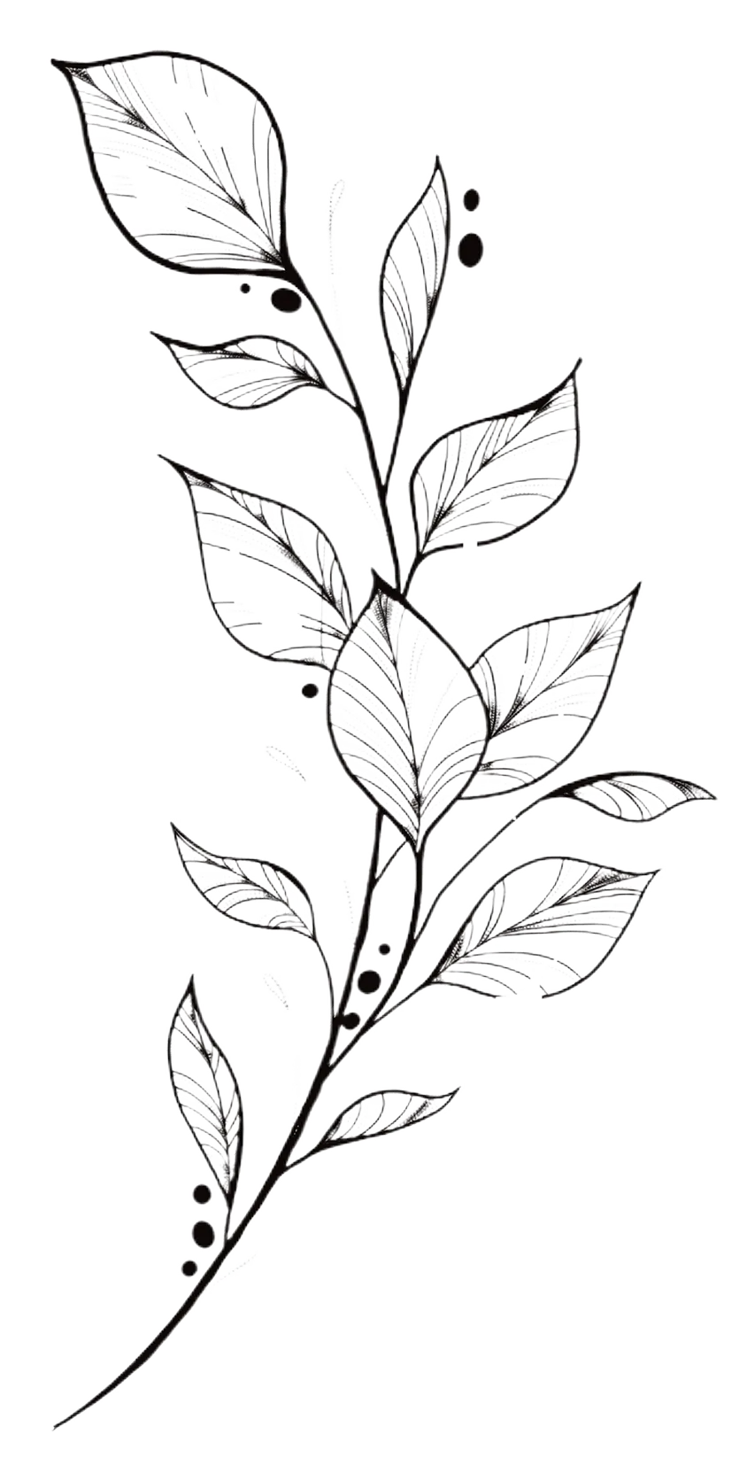 drawing of leaves and dots